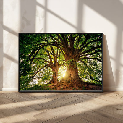 52150-MGV-CV-36X24-Majestic Tree Wall Art – Large Nature Canvas Print with Sunlight Through Branches, Rustic Forest Decor for Living Room, Bedroom or
