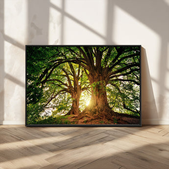 52150-MGV-CV-36X24-Majestic Tree Wall Art – Large Nature Canvas Print with Sunlight Through Branches, Rustic Forest Decor for Living Room, Bedroom or