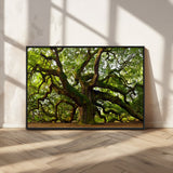 29407-MGV-CV-36X24-Ancient Oak Tree Wall Art – Majestic Nature Canvas Print, Large Tree Photography Decor for Living Room or Office