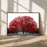 80021-MGV-CV-36X24-Red Tree Wall Art – Striking Black and White Landscape Canvas Print with Vibrant Red Leaves, Modern Nature Decor for Living Room
