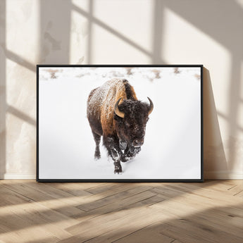 19889-MGV-CV-36X24-Snow Bison Wall Art – Majestic Buffalo Winter Landscape Canvas Print, Rustic Wildlife Photography Decor for Cabin, Lodge, Living