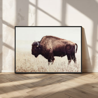 48406-MGV-CV-36X24-American Bison Wall Art – Rustic Buffalo Canvas Print in Prairie Field, Western Wildlife Photography Decor for Cabin, Lodge,