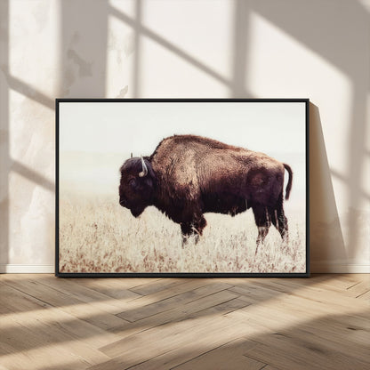 48406-MGV-CV-36X24-American Bison Wall Art – Rustic Buffalo Canvas Print in Prairie Field, Western Wildlife Photography Decor for Cabin, Lodge,