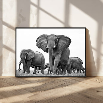 91685-MGV-CV-36X24-Elephant Herd Wall Art – Black and White Safari Canvas Print, African Wildlife Photography Decor for Living Room, Office or