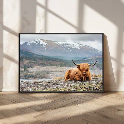 80252-MGV-CV-36X24-Scottish Cow Wall Art Canvas Print, Framed Highland Cow Art Picture Print, Highland Cattle Perfect Rustic Farmhouse Decor Artwork