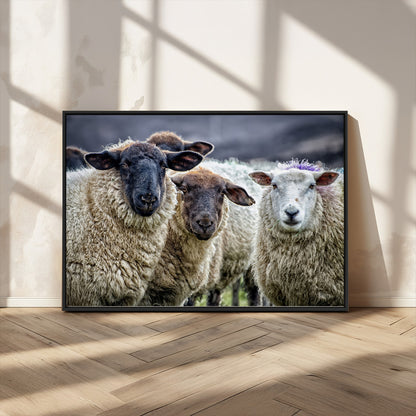 18418-MGV-CV-36X24-Sheep Wall Art Canvas Print, Framed Farmhouse Sheep Art Picture Print, Sheep Herd Perfect Rustic Farmhouse Decor Artwork