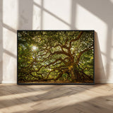 57983-MGV-CV-36X24-Angel Oak Tree Wall Art Canvas Print, Framed Oak Tree Art Picture Print, Angel Oak Perfect Rustic Nature Decor Artwork