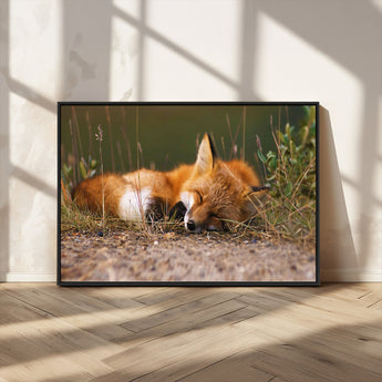 25085-MGV-CV-36X24-Sleeping Fox Wall Art Canvas Print, Framed Rustic Fox Art Picture Print, Wildlife Animal Perfect Rustic Farmhouse Decor Artwork