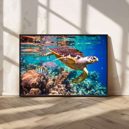 66614-MGV-FC-36X24_Black-Sea Turtle Wall Art – Hawksbill Turtle Swimming Over Coral Reef Canvas Print, Ocean Marine Life Decor for Beach House, Coastal