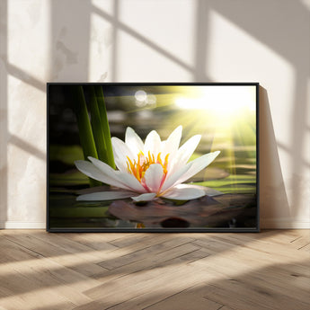40478-MGV-CV-36X24-Water Lily Wall Art – White Lotus Flower Canvas Print with Sunlight Reflection, Serene Botanical Artwork for Living Room, Bedroom,