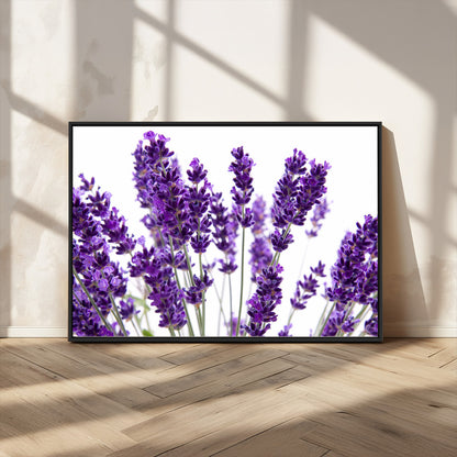 84456-MGV-CV-36X24-Lavender Wall Art – Botanical Canvas Print Featuring Purple Floral Stems, Fresh Nature Inspired Artwork for Living Room, Bedroom,