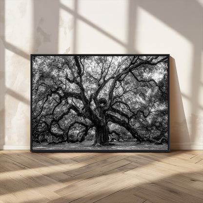 132944706-MGV-FC-36X24_Black-Ancient Tree Wall Art – Black and White Photography Canvas Print Featuring Majestic Twisting Branches, Rustic Nature Artwork for