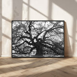 81655611-MGV-CV-36X24-Ancient Oak Wall Art Canvas Print, Framed Twisted Branches Art Picture Print, Gnarled Tree Perfect Moody Nature Decor Artwork