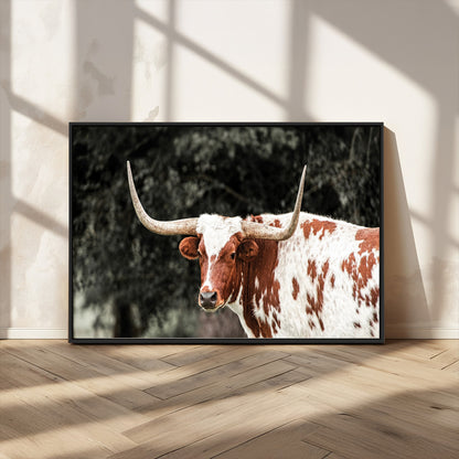 54027638-MGV-CV-36X24-Texas Longhorn Wall Art Canvas Print, Framed Spotted Cow Art Picture Print, Horned Bull Perfect Rustic Western Decor Artwork