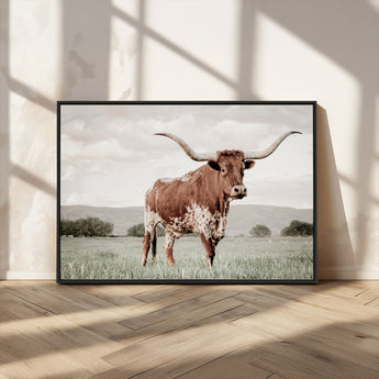 28309012-MGV-CV-36X24-Texas Longhorn Wall Art Canvas Print, Framed Spotted Cattle Art Picture Print, Horned Bull Perfect Rustic Western Decor Artwork