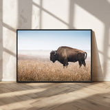 91267849-MGV-CV-36X24-Wild Bison Wall Art Canvas Print, Framed Bison in Prairie Art Picture Print, Rustic Western Perfect Rustic Western Decor Artwork