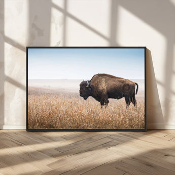 91267849-MGV-CV-36X24-Wild Bison Wall Art Canvas Print, Framed Bison in Prairie Art Picture Print, Rustic Western Perfect Rustic Western Decor Artwork