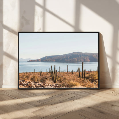 45193515-MGV-FC-36X24_Black-Desert Cactus Wall Art Canvas Print, Framed Baja Coastline Art Picture Print, Coastal Desert Perfect Southwestern Minimalist Decor