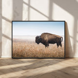 99620201-MGV-CV-36X24-Wild Bison Wall Art Canvas Print, Framed Bison in Prairie Art Picture Print, Rustic Western Perfect Rustic Western Decor Artwork