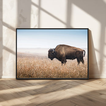 99620201-MGV-CV-36X24-Wild Bison Wall Art Canvas Print, Framed Bison in Prairie Art Picture Print, Rustic Western Perfect Rustic Western Decor Artwork