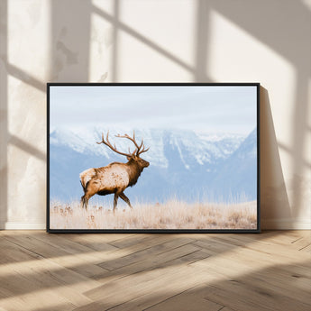 96024025-MGV-CV-36X24-Elk Photography Wall Art Canvas Print, Framed Mountain Wildlife Art Picture Print, Rustic Lodge Decor Perfect Rustic Lodge Decor