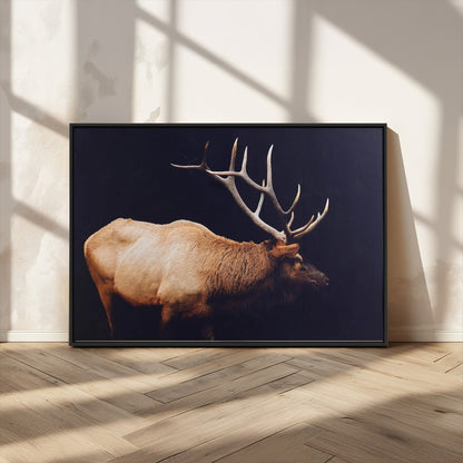 89239257-MGV-CV-36X24-Bull Elk Decor Wall Art Canvas Print, Framed Elk Photography Art Picture Print, Rustic Wildlife Perfect Rustic Lodge Decor Artwork