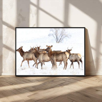 68738684-MGV-FC-36X24_Black-Winter Elk Scene Wall Art Canvas Print, Framed Wildlife Photography Art Picture Print, Snowy Deer Decor Perfect Rustic Lodge Decor