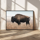 34451925-MGV-CV-36X24-Rustic Bison Decor Wall Art Canvas Print, Framed Buffalo Home Accent Art Picture Print, Prairie Wildlife Scene Perfect Western