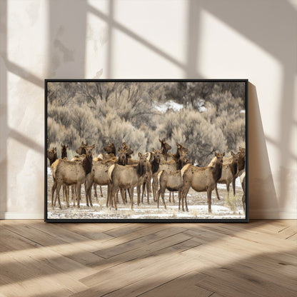 90269422-MGV-CV-36X24-Elk Herd Scene Wall Art Canvas Print, Framed Rustic Wildlife Decor Art Picture Print, Western Cabin Style Perfect Rustic Lodge