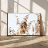 17019393-MGV-FC-36X24_Black-Pampas Grass Wall Art Canvas Print, Framed Neutral Tones Art Picture Print, Minimalist Nature Perfect Boho Minimalist Decor