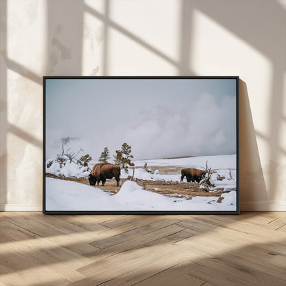 60308289-MGV-CV-36X24-Bison Wildlife Wall Art Canvas Print, Framed Snowy Prairie Art Picture Print, Western Landscape Perfect Rustic Winter Decor
