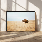 61392510-MGV-CV-36X24-Buffalo Wall Art Wall Art Canvas Print, Framed Western Wildlife Decor Art Picture Print, Rustic Farmhouse Art Perfect Rustic