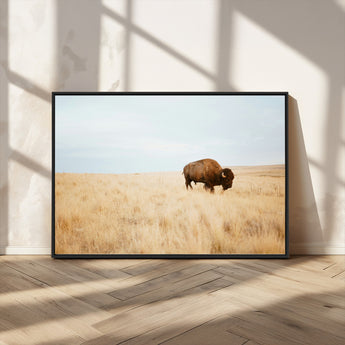 61392510-MGV-CV-36X24-Buffalo Wall Art Wall Art Canvas Print, Framed Western Wildlife Decor Art Picture Print, Rustic Farmhouse Art Perfect Rustic