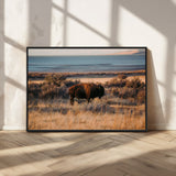 39509187-MGV-CV-36X24-Western Wildlife Wall Art Canvas Print, Framed Bison Art Picture Print, Golden Hour Perfect Western Rustic Decor Artwork