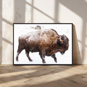 94261165-MGV-CV-36X24-Snowy Buffalo Wall Art Canvas Print, Framed Wildlife Photography Art Picture Print, Brown Tones Perfect Rustic Lodge Decor Decor
