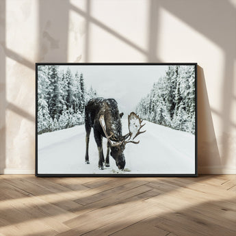 13316292-MGV-CV-36X24-Moose in Snow Wall Art Canvas Print, Framed Winter Wildlife Art Picture Print, Snowy Forest Scene Perfect Rustic Lodge Decor