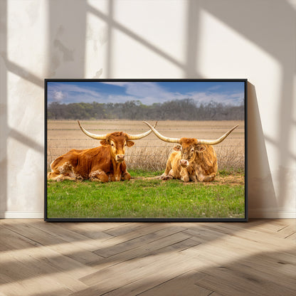 54598515-MGV-CV-36X24-Texas Longhorns Wall Art – Rustic Cattle Ranch Canvas Print, Western Farmhouse Animal Photography Decor for Living Room, Office,