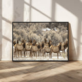 93076148-MGV-CV-36X24-Elk Herd Wall Art – Wildlife Canvas Print of Elk in Winter Landscape, Rustic Western Cabin & Lodge Décor, Nature Photography for