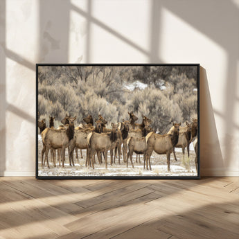 93076148-MGV-CV-36X24-Elk Herd Wall Art – Wildlife Canvas Print of Elk in Winter Landscape, Rustic Western Cabin & Lodge Décor, Nature Photography for