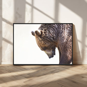 14405507-MGV-CV-36X24-Grizzly Bear Canvas Wall Art – Framed Wildlife Nature Decor, Large Brown Bear Profile Canvas Print for Living Room, Office, or