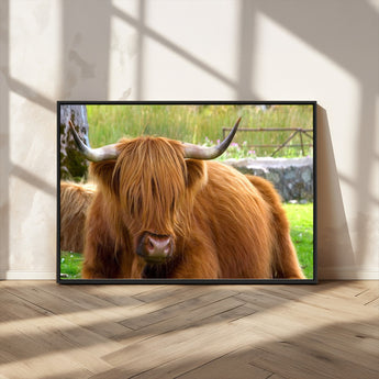 68411138-MGV-CV-36X24-Farmhouse Wall Art – Highland Cow Canvas Print, Rustic Country Cattle Photography Decor for Bedroom, Living Room, Office, Ranch,