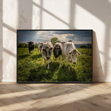 67277447-MGV-CV-36X24-Farmhouse Wall Art – Herd of Cows Canvas Print, Rustic Country Pasture Photography Decor for Bedroom, Living Room, Office, Ranch,