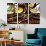 53335-MGV-CV-36X24-Majestic Tree with Sprawling Roots Wall Art – Serene Sunlit Park Scene, Nature Canvas Print, Perfect for Living Room, Office or