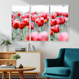 44554-MGV-CV-36X24-Vibrant red tulips stand out beautifully against a black-and-white background, making a striking decor piece perfect for any home