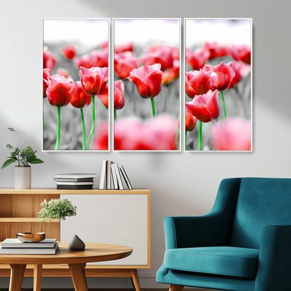 44554-MGV-CV-36X24-Vibrant red tulips stand out beautifully against a black-and-white background, making a striking decor piece perfect for any home