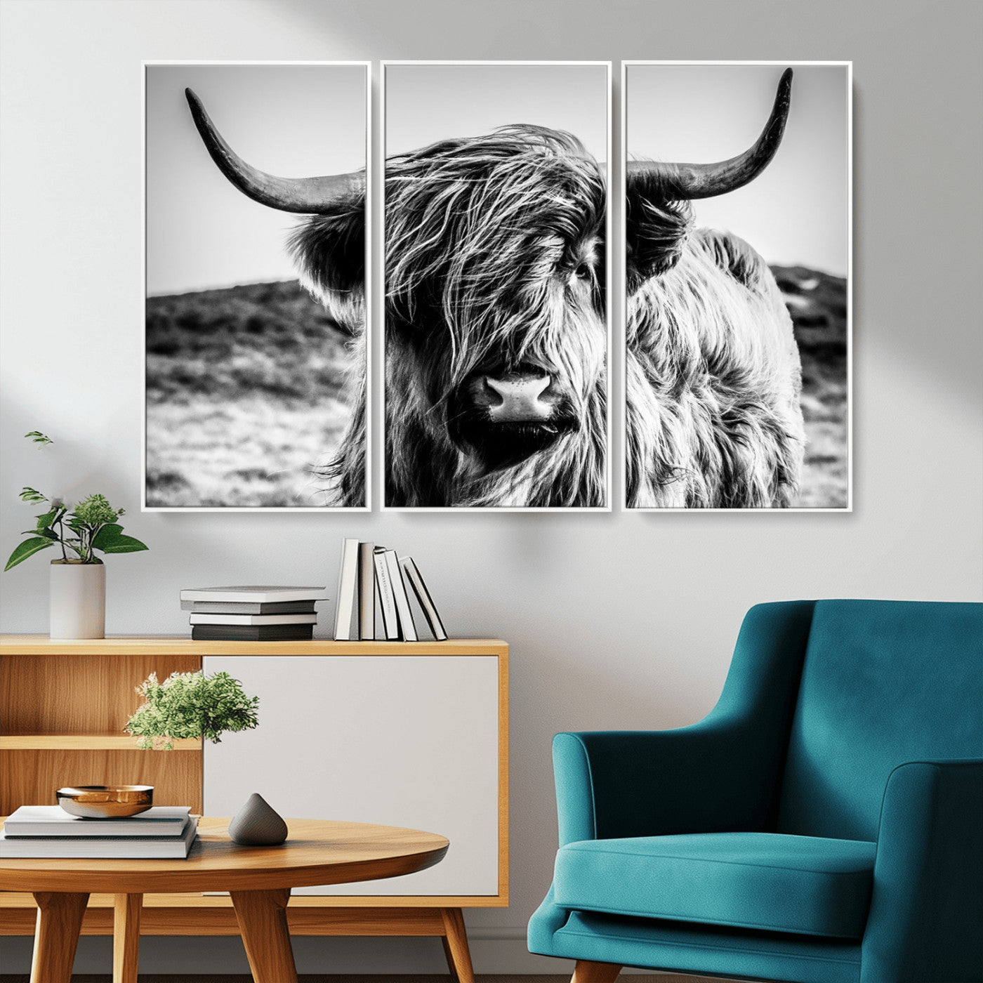 36979-MGV-CV-36X24-Striking black-and-white portrait of a Highland cow with flowing fur and majestic horns, perfect for rustic and elegant home or