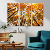 11823-MGV-CV-36X24-Golden Autumn Tree Canopy Wall Art – Stunning Fall Forest Leaves Print, Warm Seasonal Nature Decor for Home, Office or Cabin