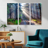 42047-MGV-CV-36X24-Sunlit Forest Path Wall Art – Nature Canvas Print, Serene Woodland Landscape, Perfect Home & Office Decor for Calm and Tranquil