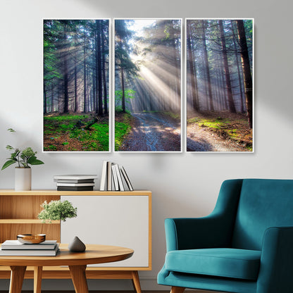 42047-MGV-CV-36X24-Sunlit Forest Path Wall Art – Nature Canvas Print, Serene Woodland Landscape, Perfect Home & Office Decor for Calm and Tranquil