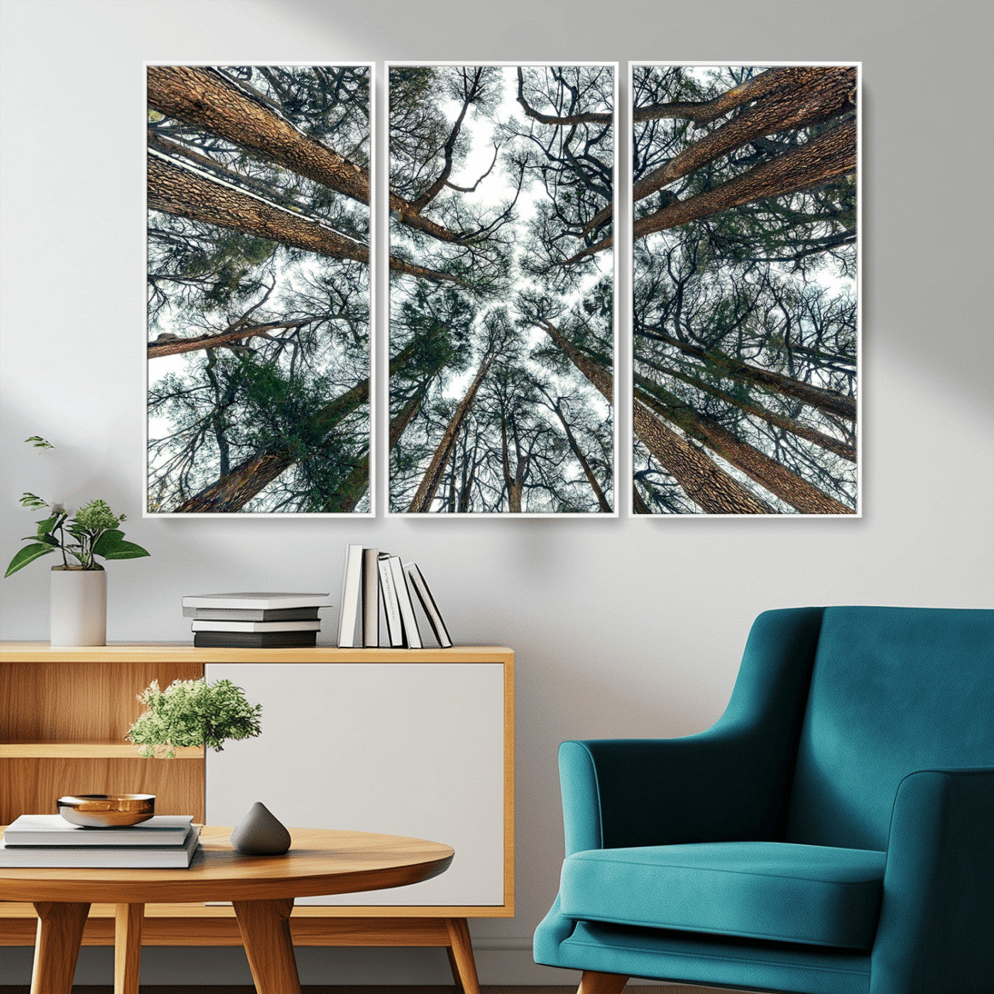 18790-MGV-FC-48X32-3P_White-Pine Canopy Wall Art – Panoramic View of Towering Pines Canvas Print, Nature-Inspired Decor for Office, Cabin or Living Room
